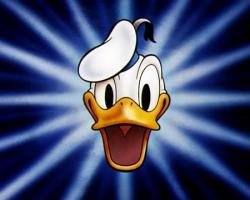 Donald Daffy