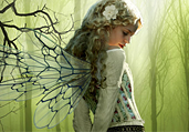 Fairy Evelin